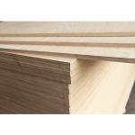 27mm formwork plywood construction membrane veneer veneer plywood