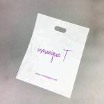 Plastic Handle Packaging Bag Die Cut Bag Shopping Bag With Own Logo