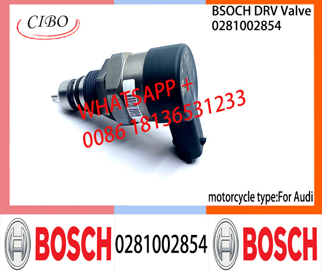 BOSCH DRV Valve 0281002854 Control Valve 0281002854 for AUDI