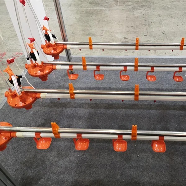 Broiler Poultry Farm Equipment with Automatic Feeding System, Environment Control, and Cooling Pad for Chicken House