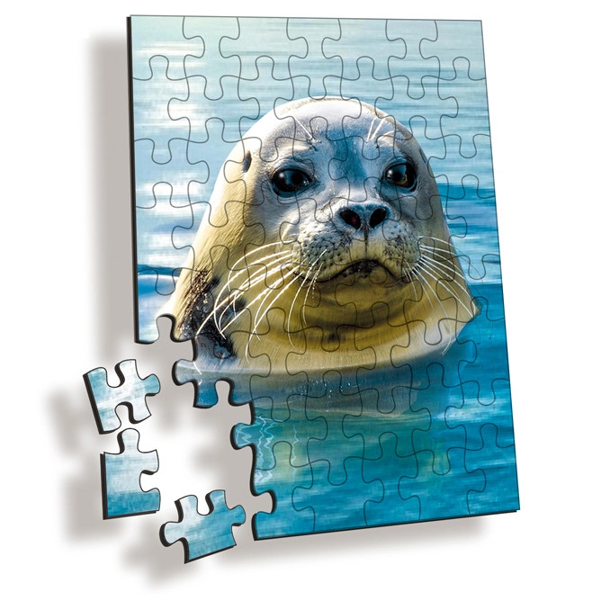 PLASTIC LENTICULAR cheap kids toy plastic 3d puzzle pp pet customized 3d lenticular jigsaw printing lenticular puzzle