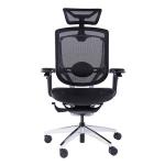 Marrit 5D Arms Ergonomic Chairs Home Office Mesh Chair Swivel Office Chairs