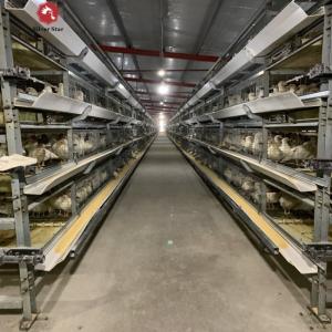 Wholesale 30000 Birds Hot Dip Galvanized Steel H Type Battery Cages For Broiler Chicken from china suppliers