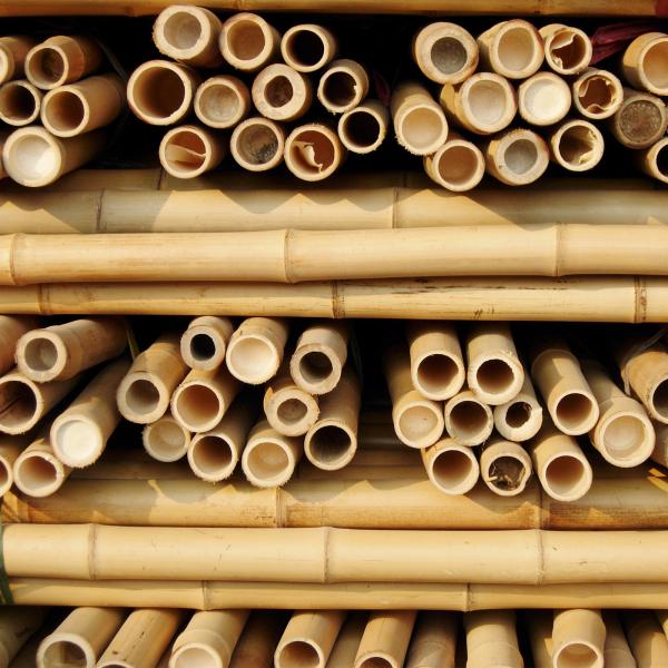 China Bamboo Town Solid Dried Bamboo Poles For Gardening And Construction Nature
