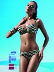 Women's Swimming Suit Sexy Bikini Swimsuit Women Print Fashion Push-Up Padded