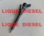 BOSCH Common Rail Injector 0445110307 0 445 110 307 0445110 307 6271-11-3100