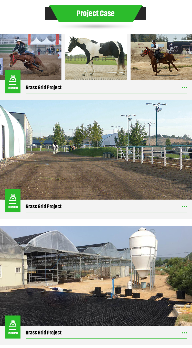 Hotel HDPE Plastic Pavers for Horse Paddock Grid Improve Your Horse's Living Space
