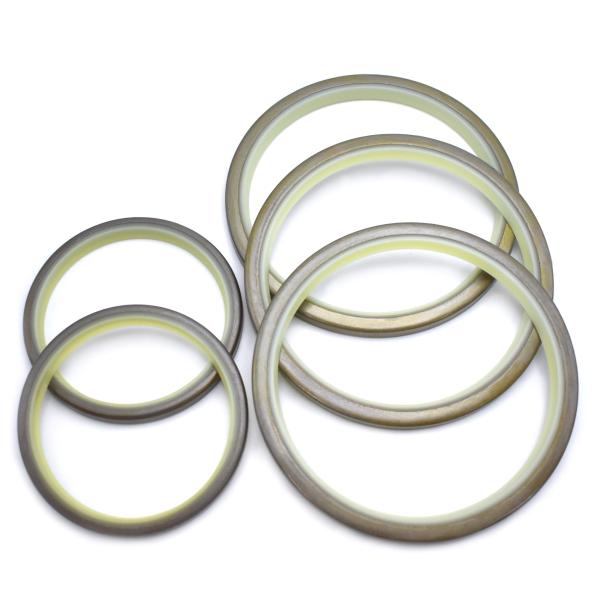 Dli Dust Seal Ring 70 Shore A Hyraulic Cylinder Oil Seal PU Oil Wiper Rings