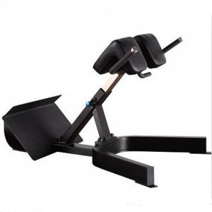 Wholesale Befreeman Hot Selling Gym Fitness Exeserces 45 Degree Back Extension Machine Roman Chair for Sale from china suppliers