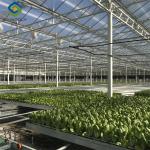 Sainpoly Hydroponic Lettuce Greenhouse Tunnel Green House Customized