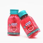 HACCP Watermelon Fruit Mint Candy Without Sugar