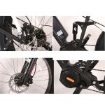 Down Tube Battery Position Ebike 48v 1000w Electric Bicycle with Smart Type