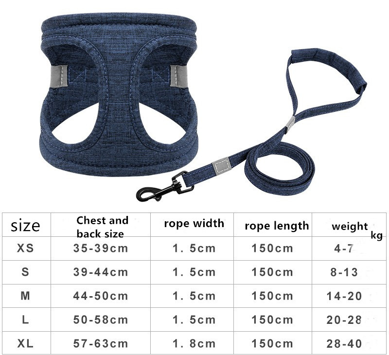 small dog leash and harness