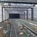 Mushrooms 70m Polyethylene Single Span Greenhouse