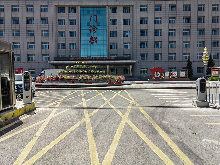 Multiple Languages License Plate Recognition LPR System , Toll Management System Anti Counterfeiting