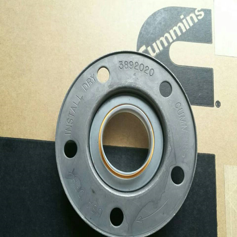 Cummins M11 Qsm11 ISM11 Oil Seal 3892020 3803488 3803728 3804304