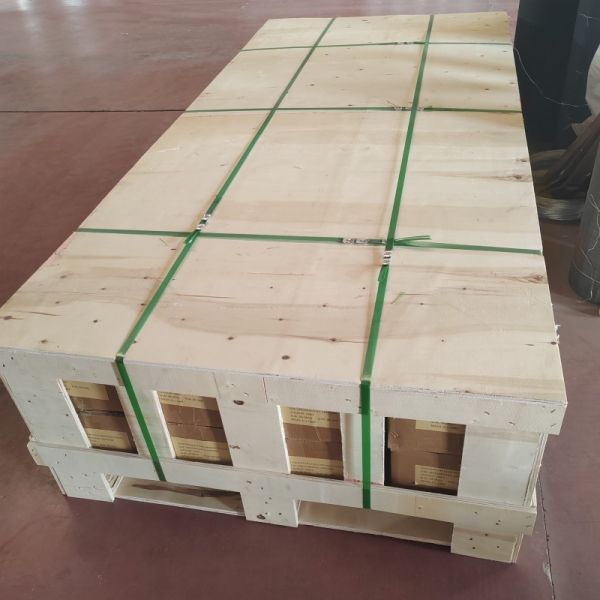 Plain Weaving Stainless Steel Wire Mesh SS 304 316L 2205 for Filter Cylinder with Customizable Size