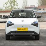 Low Consumption Pure Electric Car Joy 01 10.3kWh Per 100km Lang Range Electric