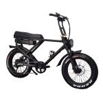 Disc Brake and Dual Battery Mid Drive Electric City Bike for Adult Classic Ebike