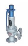 Stainless Steel Material Spring Type Low lift safety valve for Water with