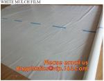 Agricultural Mulching Film Used for Fruit, Flower and Vegetable