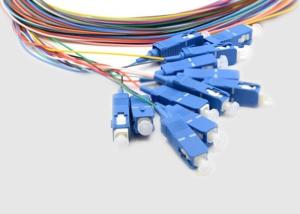 Wholesale Outdoor Multi Core 12 Fiber 1m SC Fiber Optic Pigtails from china suppliers