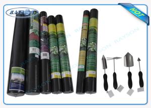 Wholesale 100% PP Raw Non Woven Landscape Fabric Protect Plant / Garden / Fruit / Weed Control from china suppliers