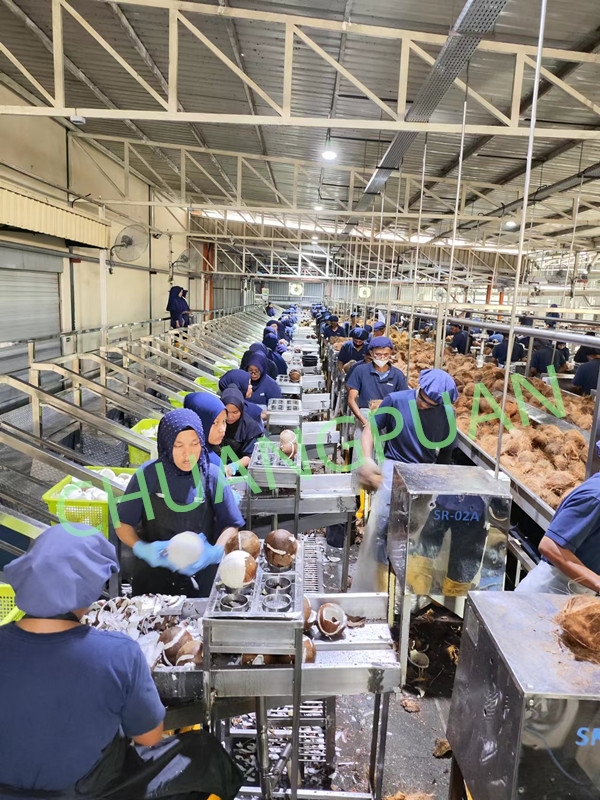 High Capacity Coconut Processing Machine 0.5-25T/H