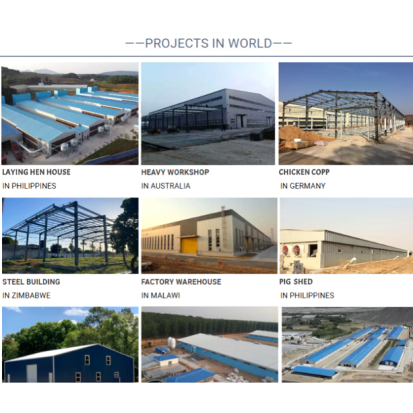 Hot-Dip Galvanized Steel Structure Chicken Coop with Modular Design and Customizable Dimensions for Poultry Farm Building