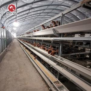 Wholesale H Type Layer Chicken Cage Hot Dipped Galvanised Chicken Farm from china suppliers