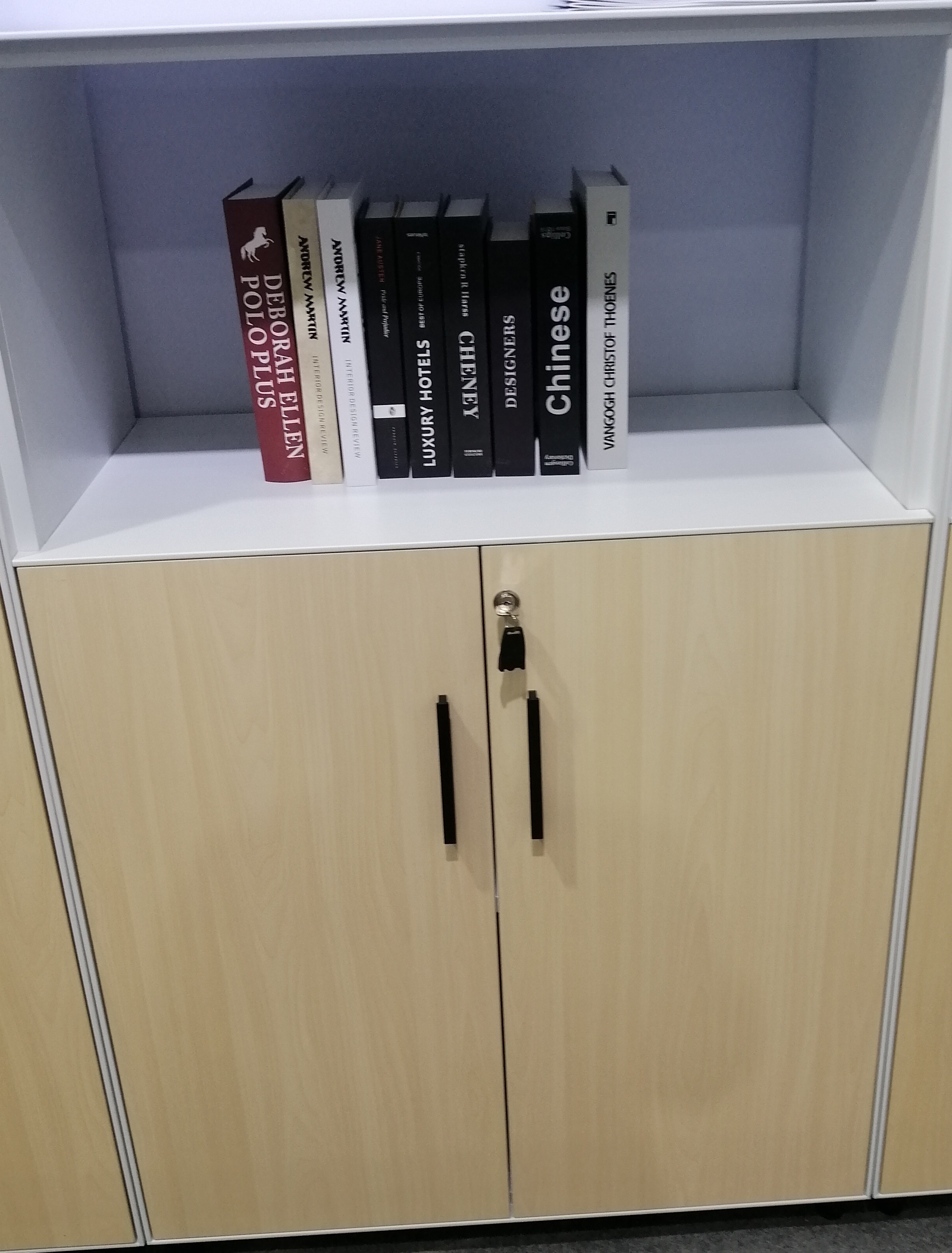 Up Open Down Swing Door Modular Storage Cabinet With 1 Fixed Shelf Double Layers Plate