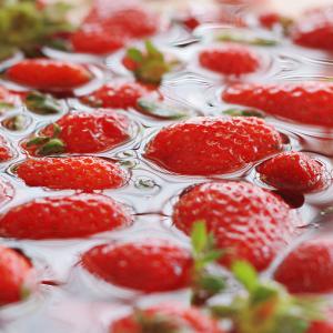 Wholesale Industrial Fruit Cleaning Machine Automatic Strawberry Washing Machine from china suppliers