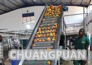China Turn Key PLC Control 1-20T/H Mango Pulp Production Line 220V 380V 440V on sale