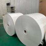 QS W 1200mm Waterproof Coated Paper Tea Cup Raw Material 350g