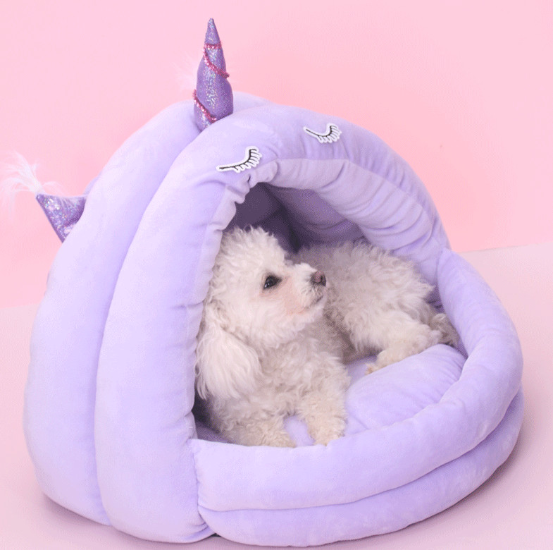cat beds chewy