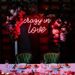 Custom 110-240V LED Acrylic Signage Decorative Outdoor LED Neon Signs