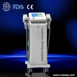 Wholesale cryolipolysis weight loss beauty machine,body slimming cryolipolysis equipment from china suppliers