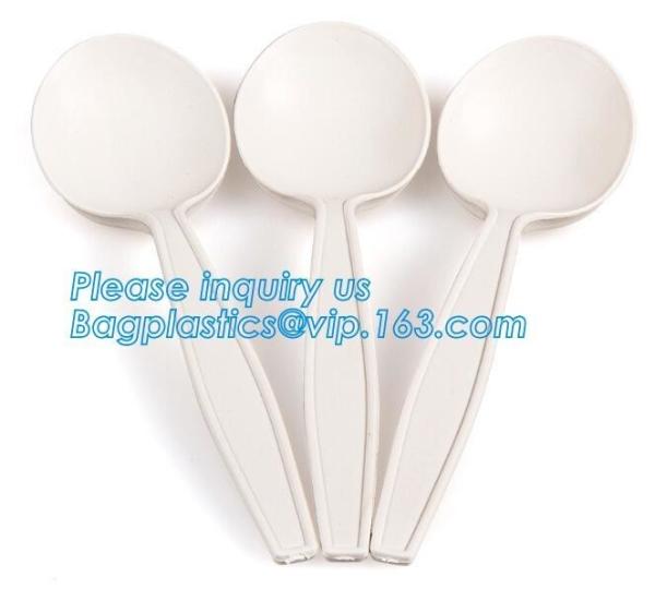 6 inches plastic biodegradable corn starch material spoon PLA dessert spoon,OEM