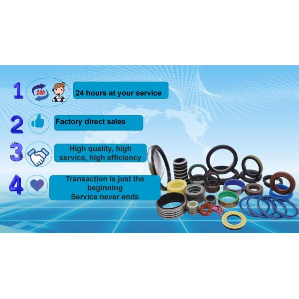 Factory Price Abrasion -Resistant Polyurethane Rubber Fluorine Rubber FKM Coupling Hexagonal Wheel Buffer Pad