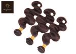 2# Body 800 slick Colored Human Hair Bundles 100gram True To Length