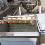 380V Cleaning Equipment Machines Stainless Steel For Cleaning Fruits