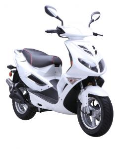 Wholesale B09 50CC Gas Online Scooter (LS50QT-21) , 4 Stroke Gas Powered Motor Scooters from china suppliers