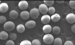 Wholesale Casting Used Spherical Ceramic Sand Particle 1.95~2.051g/cm3 Density from china suppliers