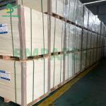 Uncoated High Bulk Book Paper 70gsm 80gsm Cream Bulky Book Paper