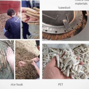 Wholesale 3TPH Straw Cotton Stalk Pellet Making Machine Grass Pellet Maker No Roller Bearing from china suppliers