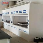 Safety Steel Strong Corrosion Resistance Chemistry Laboratory Fume Cupboard