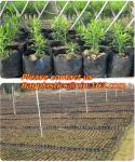 vegetables, fruits, seeds, bedding plants, tomatoes, peppers, cucumbers, tree
