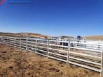 Easy Install Metal Cattle Shed Onsite Installation Steel Animal Husbandry