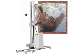 China 4GB DDR Memory 75W 3D Wall Painting Printer Built In Lithium Battery on sale