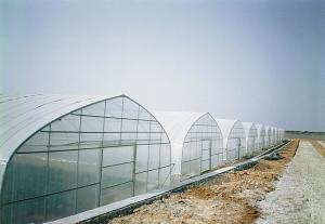 Wholesale Section 4m Polyethylene Film Greenhouse , Single Span Greenhouse For Vegetable from china suppliers